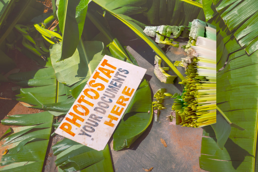 Digital sculpture from text disrupting photograph of a discarded sign atop banana leaves.